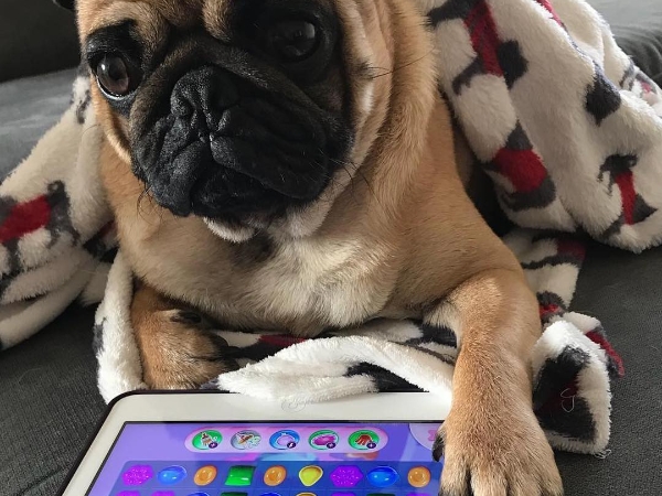 〔你孝親系〕過年與長輩相處，你招架得住嗎？精選 5 款遊戲 Apps 讓你輕鬆拉近與長輩間的距離！