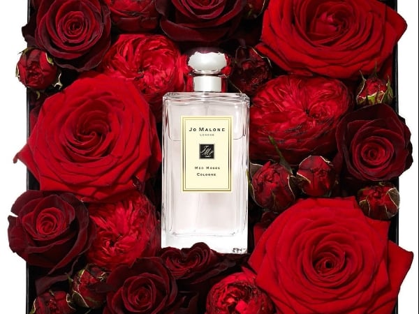〔214閃光彈〕情人節禮挑什麼？來「JO MALONE LONDON」貼心幫你傳厚厚！