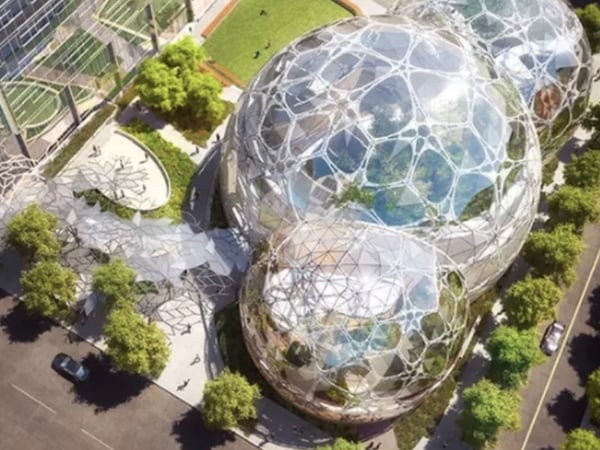 在熱帶雨林裡工作！Amazon 把 4 萬種植物搬到辦公室