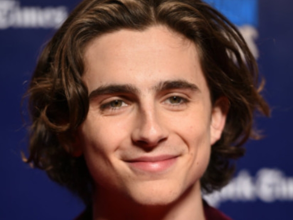 髮型很重要!捲髮美男 Timothée Chalamet 過往迷走造型 網友:氣質完全不同!