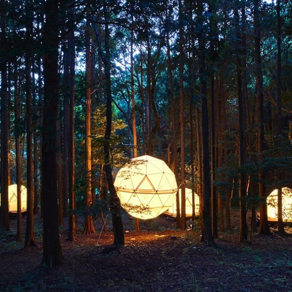 邀你睡公園！日本靜岡第一座「漂浮帳篷」座落森林間，神秘度假行程夯