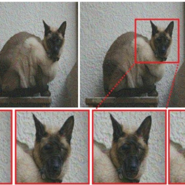 你分得出這兩張片是貓還是狗嗎？其實大家都錯了