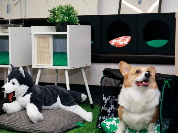 「寵」牠也寵你！ IKEA 推出系列「超實用毛孩用品」，讓牠沒藉口搗蛋啦！