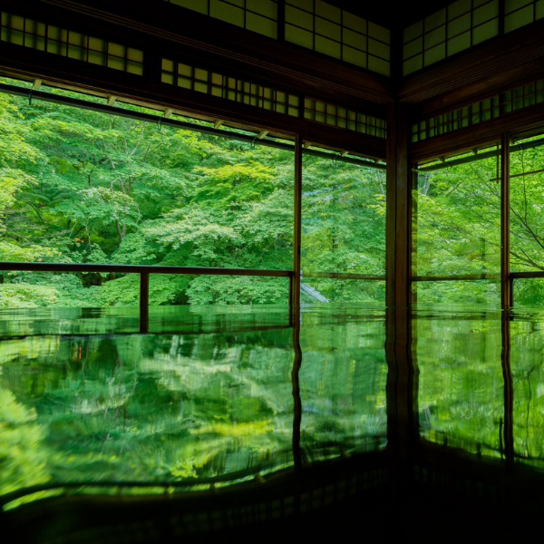 必遊景點！一年只開放兩次的京都「瑠璃光院」　如幻似影的美景令人屏息！
