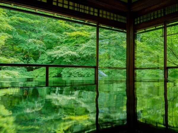 必遊景點！一年只開放兩次的京都「瑠璃光院」　如幻似影的美景令人屏息！