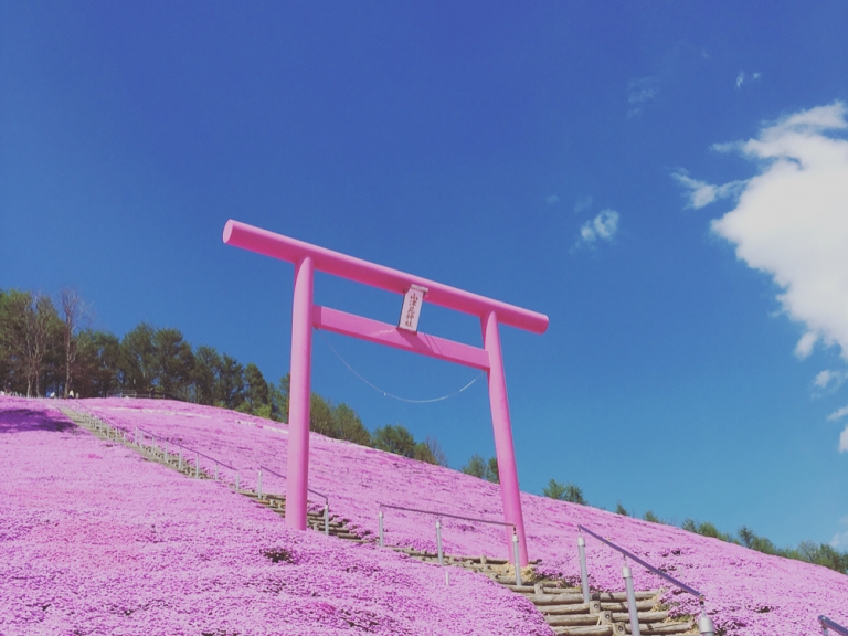 讓白雪化成花海！春夏的北海道，每一處都是絕美的 IG 照背景！