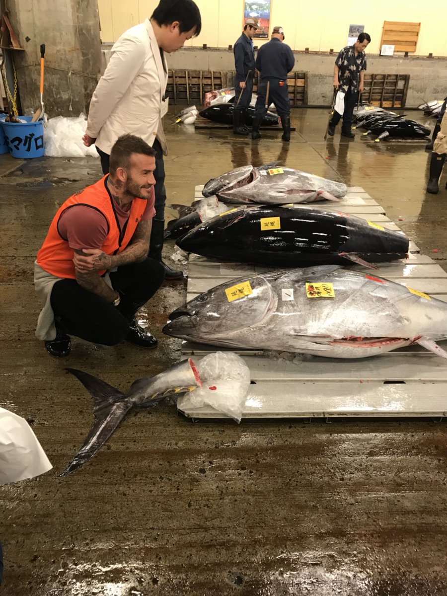 野生的貝克漢這麼帥!帶大兒子布魯克林暢遊東京 見習築地市場鮪魚拍賣!