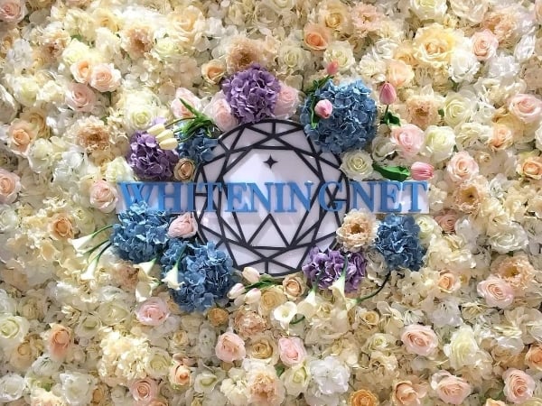 「無酸痛」牙齒美白在這！日本 WHITENING NET 溫和不刺激「淨白美齒 SPA 」做一次就超有感！