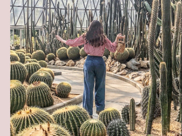你以為是美國加州秘景嗎？近日 Instagram 上超紅的仙人掌公園，竟然位於深圳！