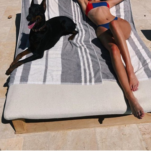 超模坎達兒珍娜杜賓犬咬傷小女孩！「桌上留下錢後」逃離現場