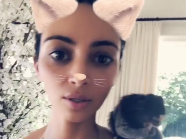 卡戴珊姊妹又闖禍！Kim Kardashian 的 IG Stories，為何被動物團體公開譴責？
