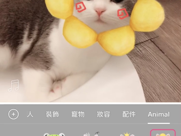 奴才們快下載！這個 app 竟然推出「萌寵 AR 」，輕鬆辨識貓狗輪廓！