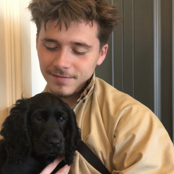 布魯克林宣布貝克漢家族增添了這位新成員！超萌