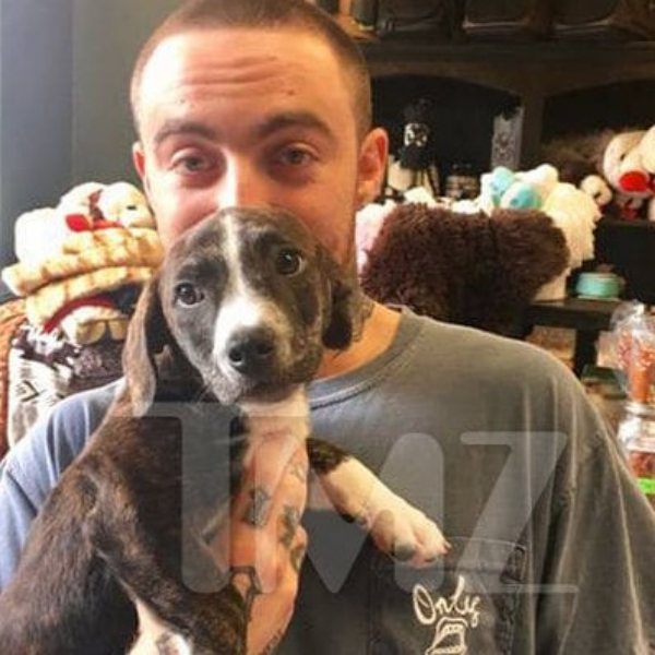 Ariana 近期收養前男友 Mac Miller 愛犬 Myron！粉絲直呼：「這是我看過最貼心的事」