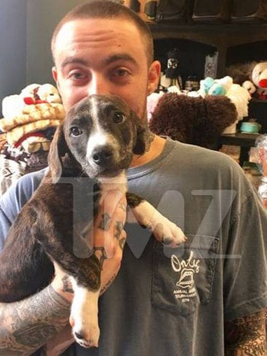 Ariana 近期收養前男友 Mac Miller 愛犬 Myron！粉絲直呼：「這是我看過最貼心的事」