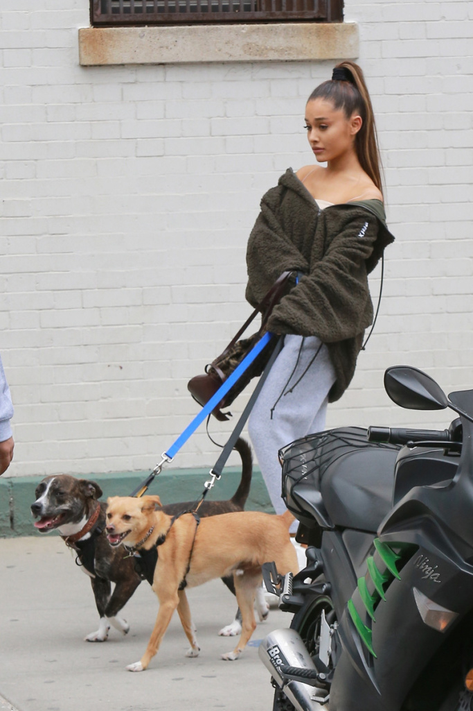 Ariana 近期收養前男友 Mac Miller 愛犬 Myron！粉絲直呼：「這是我看過最貼心的事」