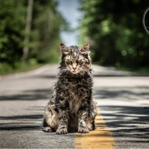 能讓生物復活的詭異故事！史蒂芬金《寵物墳場》電影首波劇照　死而重生的貓咪嚇人！