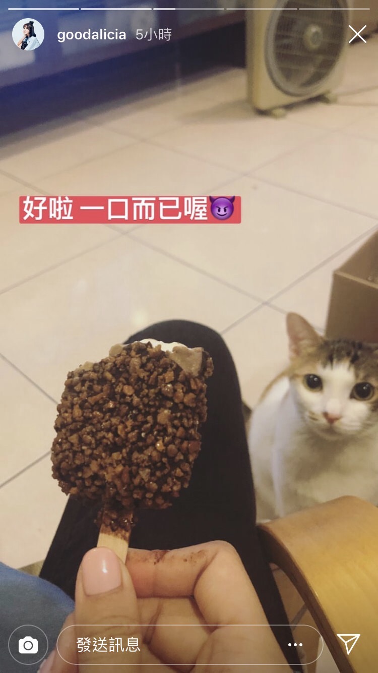 給貓吃巧克力冰棒？「愛莉莎莎」惹怒貓奴網軍：沒常識瞎妹！