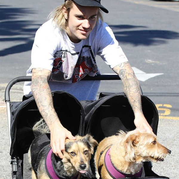 小賈重返戶外運動踢足球，玩狗、與小孩互動心情特好！