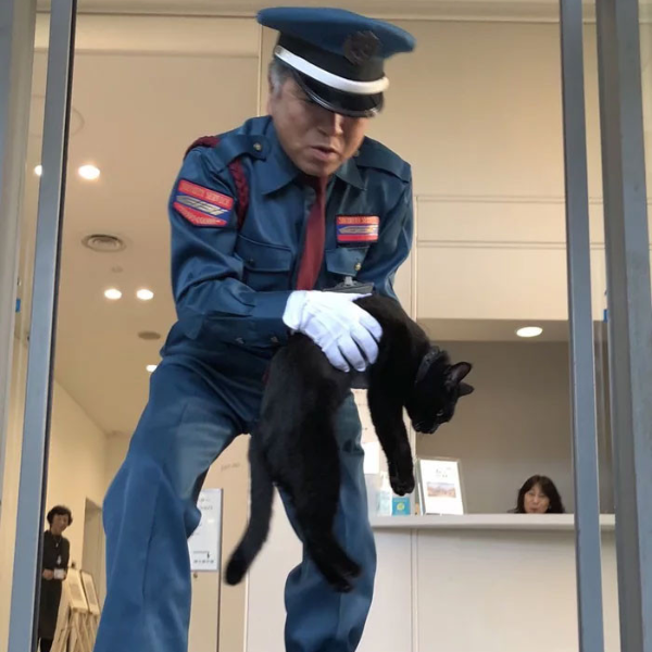 兩隻貓咪總想闖入日本美術館「參觀」網路爆紅　日復一日被門口警衛伯伯給攔下來！
