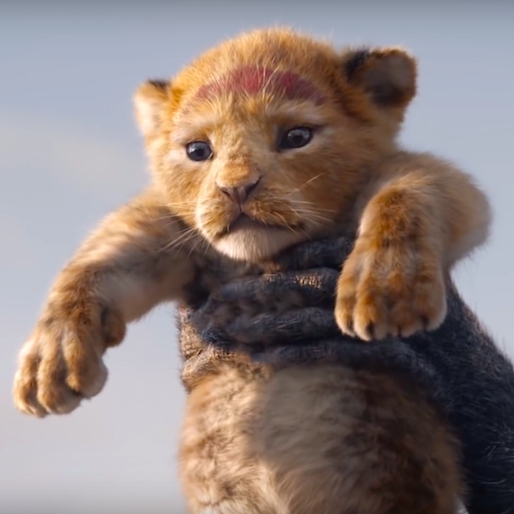 經典再還原！迪士尼《獅子王》3D 寫實版前導預告釋出　「辛巴」誕生場景重現引網友鼻酸！