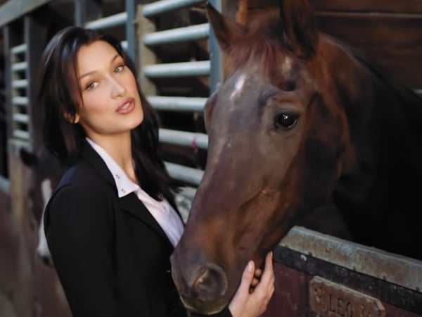 她是訓練 10 年的騎馬選手!貝拉哈蒂德 Vogue 73 問放閃 「見過最美好的人」答案是威肯!