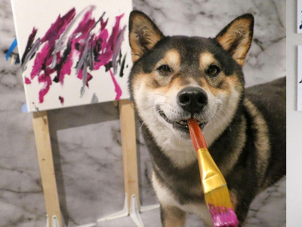 你家毛小孩也有第二專長嗎？加拿大超萌柴犬賣畫維生已賺進上千美元！