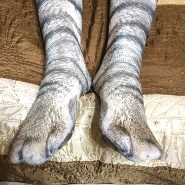 真的有肉球！日本推特瘋傳「動物之足」擬真襪款　網友驚嘆：不仔細看以為是巨大貓掌⋯
