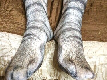 真的有肉球！日本推特瘋傳「動物之足」擬真襪款　網友驚嘆：不仔細看以為是巨大貓掌⋯