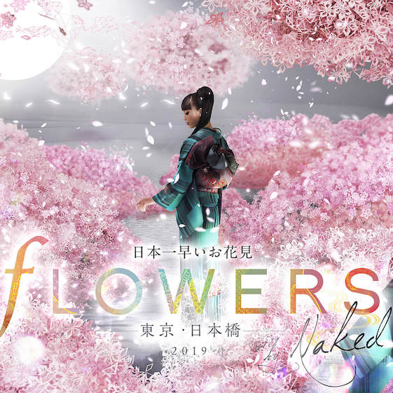 再次引爆 IG 打卡！日本創意團隊最新「Flowers By NAKED」開跑　2019 第一場「櫻花盛典」超絕美！