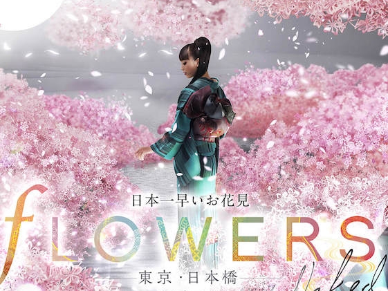 再次引爆 IG 打卡！日本創意團隊最新「Flowers By NAKED」開跑　2019 第一場「櫻花盛典」超絕美！