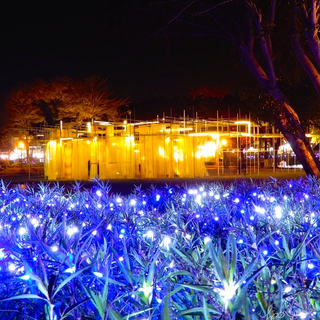 全台最美的元宵活動！2019 年台南「月津港燈節」正式開跑　3 大展區、拍照美景大特蒐！