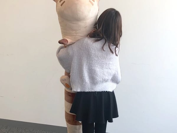 寶可夢抱枕又有新話題！推出男友身高 180 公分「大尾立」引發少女心暴動！