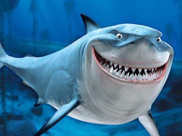 「OK，被說服了！」日本水族館推出「戀愛諮詢服務」　幽默又不失專業的回覆惹網友推翻！