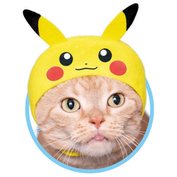 想要養神奇寶貝嗎？日本扭蛋機推出超萌「寶可夢貓咪頭套」　看喵星人戴上它實在是太萌啦！