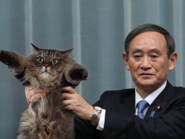 平成時代再見了！日本新年號「令和」讓網友瘋狂惡搞　連爆紅的台灣「珍珠奶茶」都驚現！
