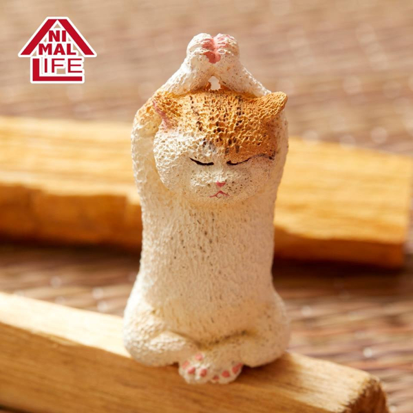 超火紅扭蛋「ANIMAL LIFE」推出超獵奇「貓咪瑜伽大師」系列！　網友：確定不是在冥想？