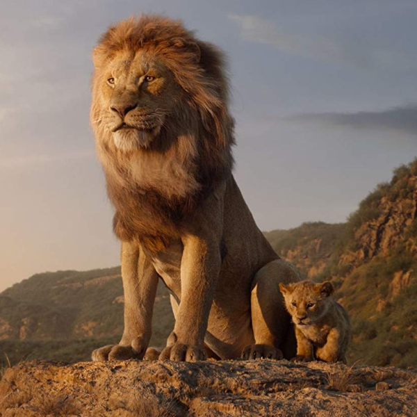 丁滿和彭彭「耍寶」登場！迪士尼新版《獅子王》正式中文預告　每一個鏡頭都帶你回到童年！