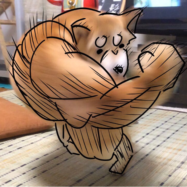 奇蹟一瞬間照片！日本搞笑「右鉤拳柴犬」被網友瘋狂惡搞　霸氣肌肉看起來超強大！