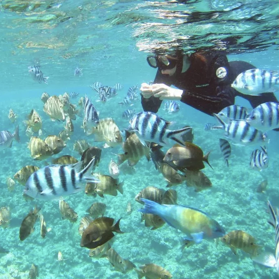 沖繩珊瑚染 DIY × 沖繩文化體驗懶人包