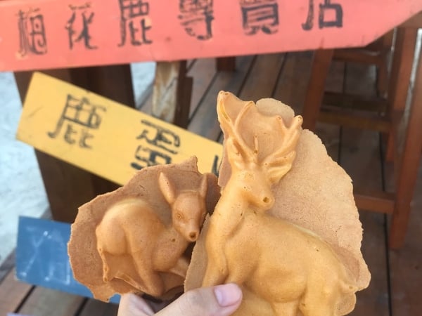 綠島出發！今夏跳島小旅行！潛水，溫泉，日出，美食吃透透！
