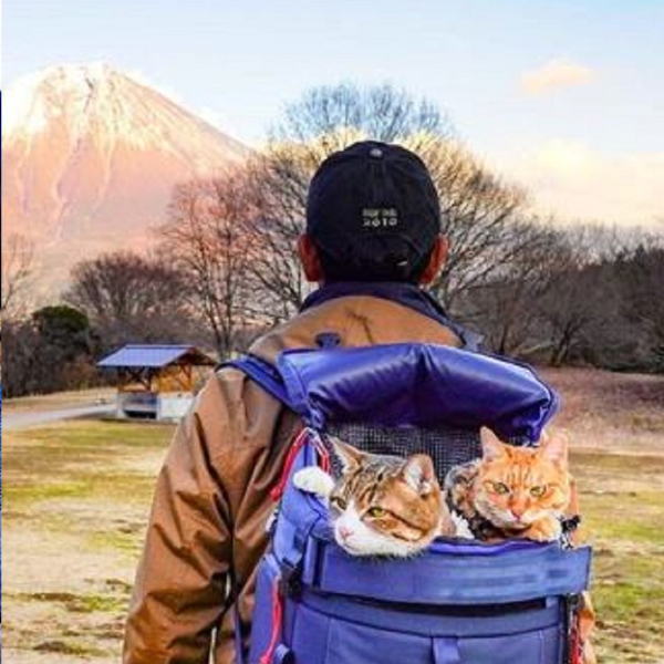 帶著貓咪去旅行！日本超狂貓奴 8 年來背著喵星人走遍各地　見證超過 1000 個美麗景點！