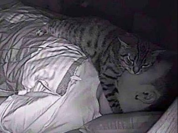 男子夜間入睡時都會「窒息」呼吸困難　裝了夜間攝影機才發現是貓咪整晚趴在他臉上...