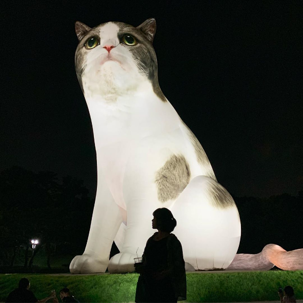 進擊的喵星人來了！韓國奧林匹克公園出現一座「AR 動物園」，貓咪、柯基通通巨大化啦