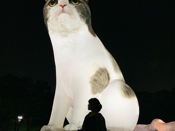 進擊的喵星人來了！韓國奧林匹克公園出現一座「AR 動物園」，貓咪、柯基通通巨大化啦