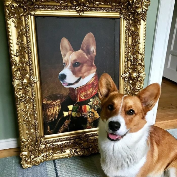 簡直一模一樣！幫你家寵物繪製「文藝復興肖像油畫」網路爆紅，貓咪狗狗全變身貴族！