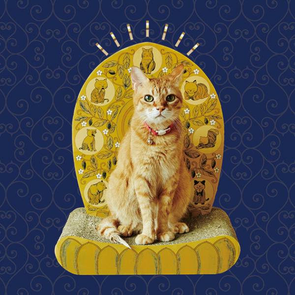 貓咪真的變成宗教了！日本推出喵星人「佛光」抓板墊，每天看見就喊一聲「吾王吉祥」？