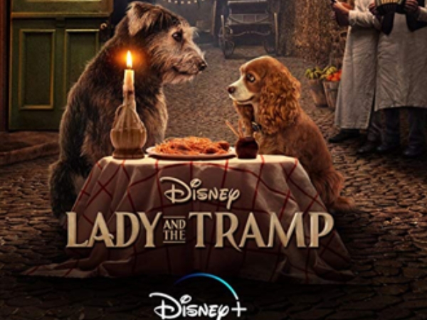 迪士尼狂粉們都哭了！盤點 Disney+ 11 月首波上線全新影集，每一部都超經典！