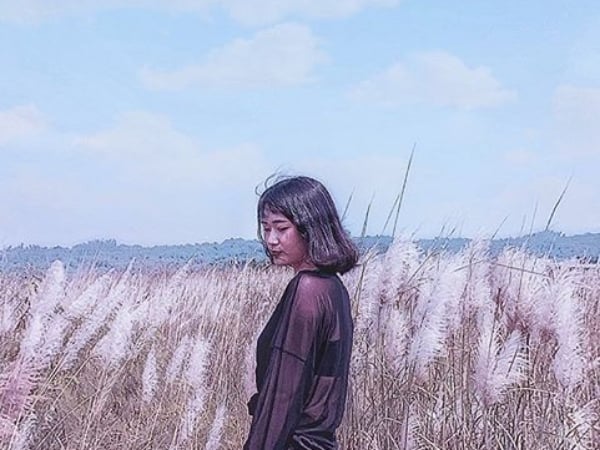 南部下起「十月雪」？！洗爆 IG 的台南最新打卡景點「甜根子草秘境」在這裡，再晚就拍不到啦！