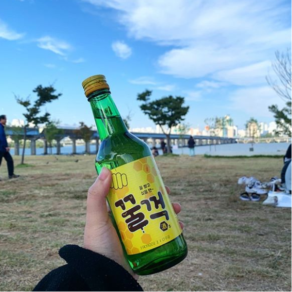 不敢喝燒酒的人也能輕鬆駕馭！超好喝的「蜂蜜燒酒」台灣「這裡」買得到，酒鬼們還不快喝爆！
